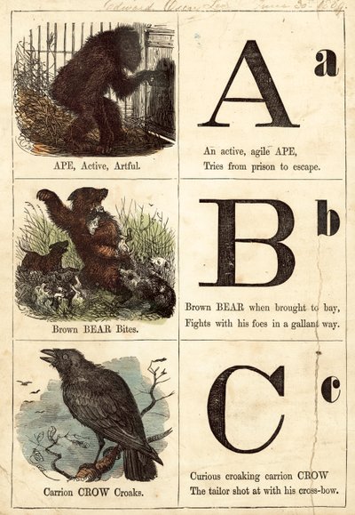 Alphabet illustré - English School